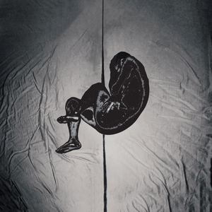 黑色girl舞姿娜娜最新一期
